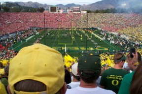 mk体育平台网页版入口-“阿根廷美洲狮队：橄榄球冠军锦标赛的强力黑马”