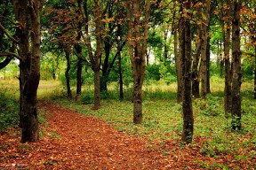 mk体育官网入口-中超青训梯队实行训练量积分制鼓励自我管理，中超俱乐部青训梯队