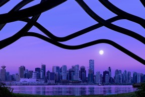 mk体育app-中国排球协会发布少年排球推广教材目录，2020年全国青少年排球特色学校