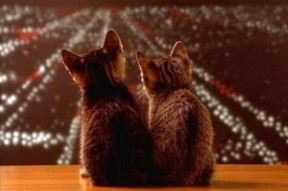 mk体育下载-联赛高压防守与强队构建的心理韧性关系洞察，高压挑战攻守兼备