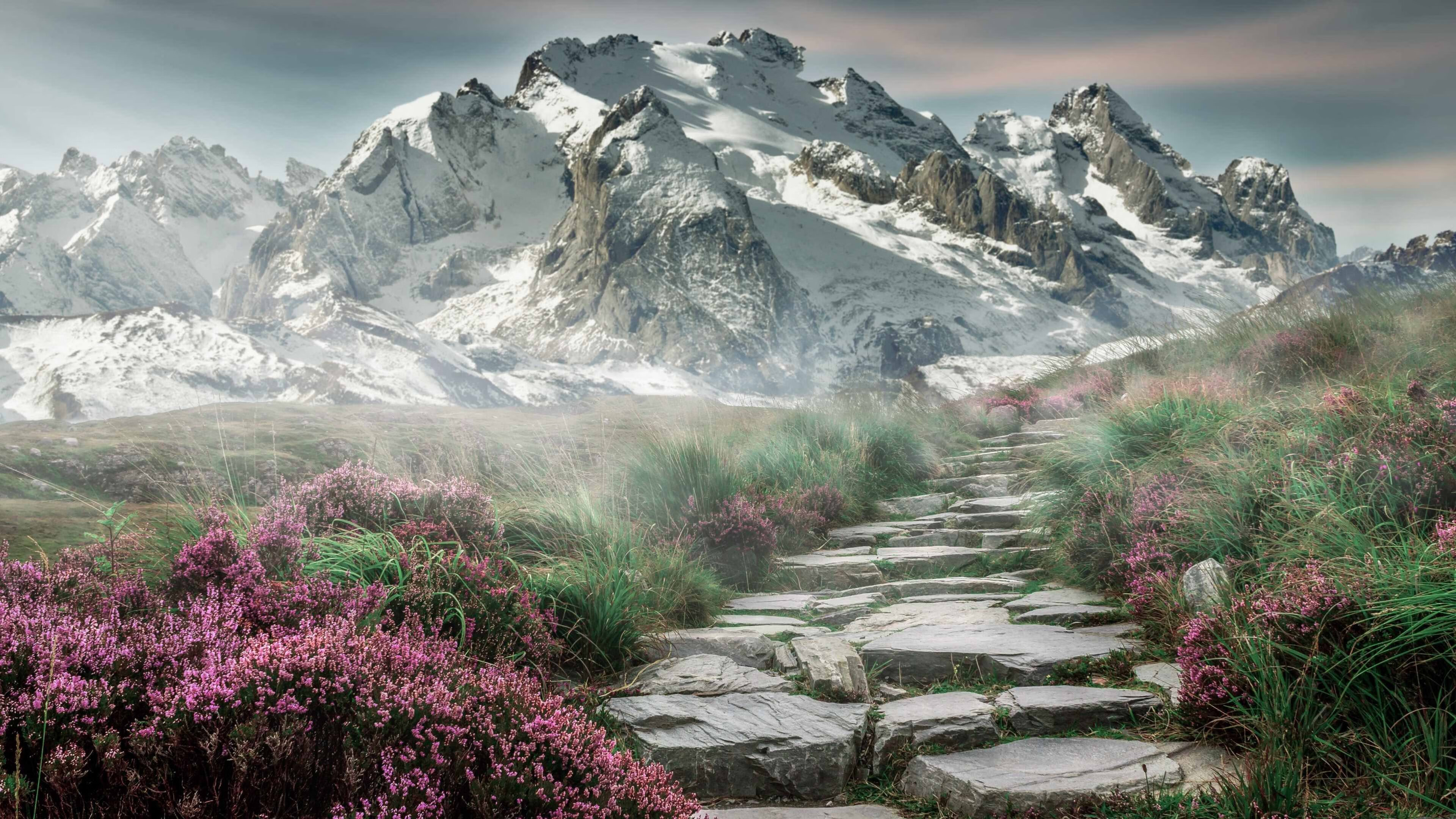 “腰旗橄榄球:东部新区赛场带来全新观赛体验”