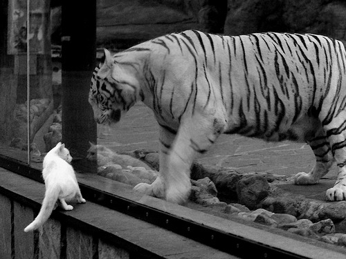 “高新区全民健身馆壁球:这场比赛,分秒必争,胜者全凭瞬间反应”