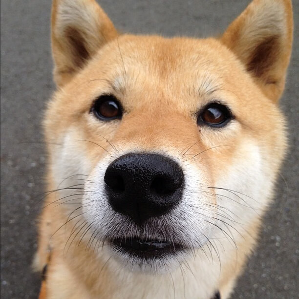 体育新闻中心发布智能运动装备数据分析平台,运动装备资讯