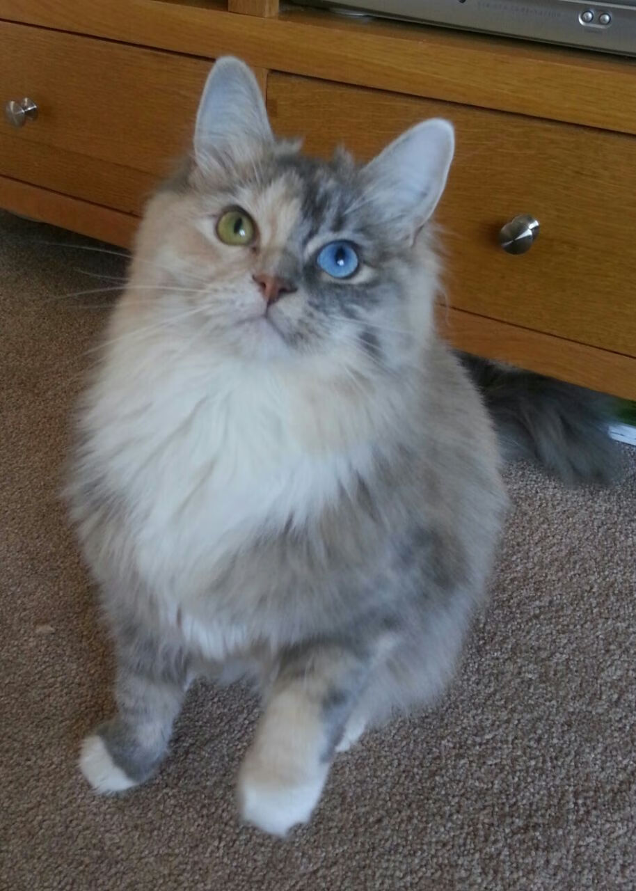 体育新闻中心深化赛事转播技术合作,体育赛事转播涉及哪些知识产权