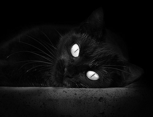 俱乐部内部人才梯队结构断层,俱乐部各部门人员配置