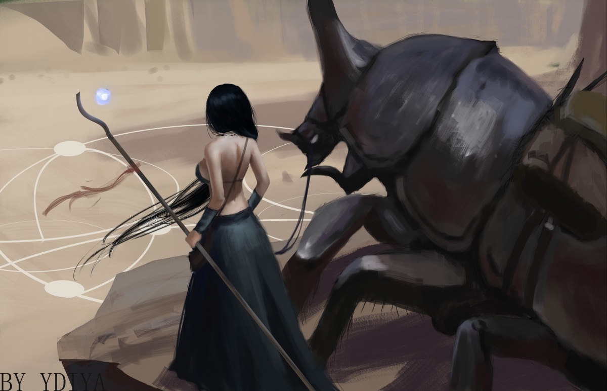 波兰队赛制解析:如何在赛制中提高对战术的理解与执行,波兰 比赛全程