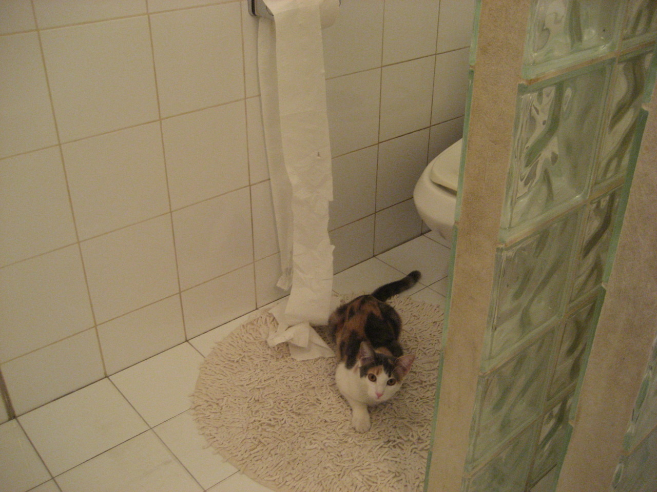 球员心理辅导资源匮乏,球员心理辅导资源匮乏的表现