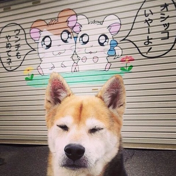 运动员社交行为培训纳入官方课程体系,运动员社交媒体