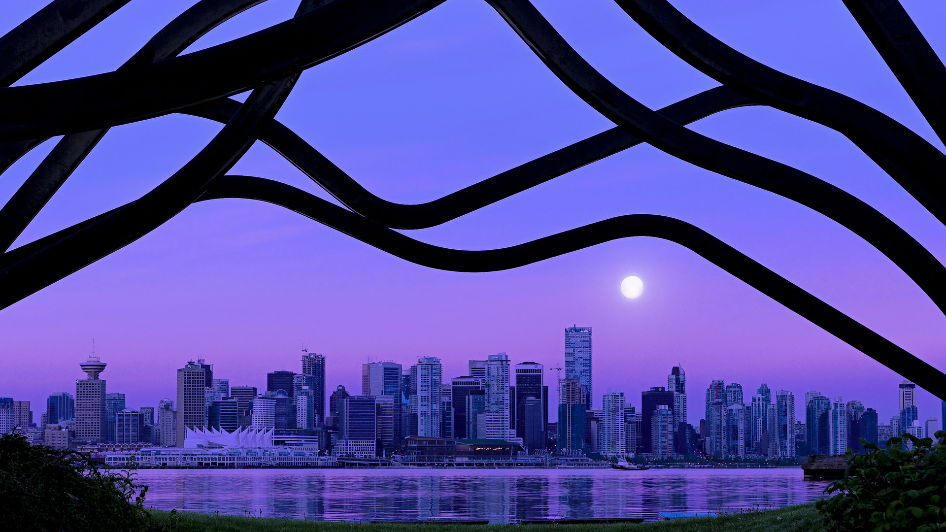 中国排球协会发布少年排球推广教材目录,2020年全国青少年排球特色学校