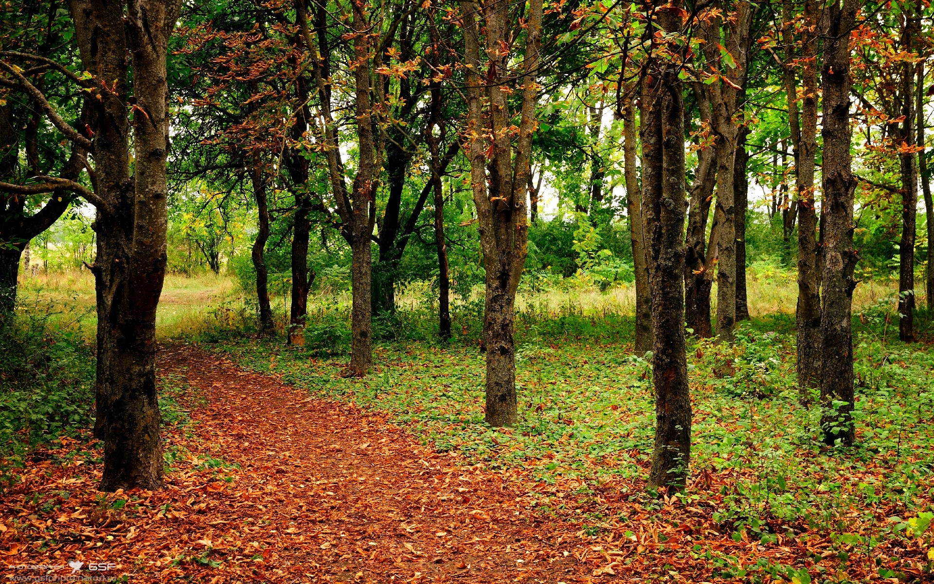 中超青训梯队实行训练量积分制鼓励自我管理,中超俱乐部青训梯队