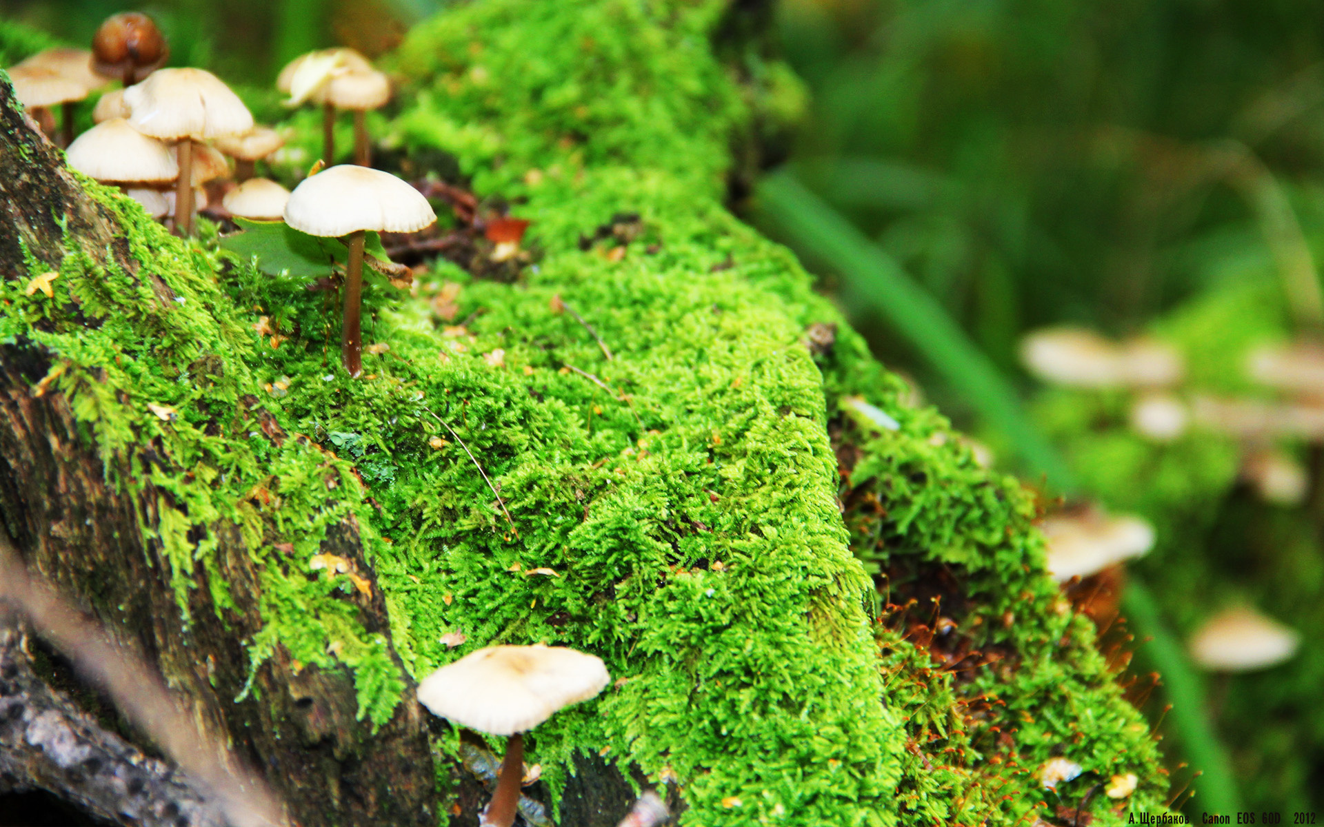 新闻中心报道:中国冬奥场馆维护工作全面完工,冬奥会场馆建设进展