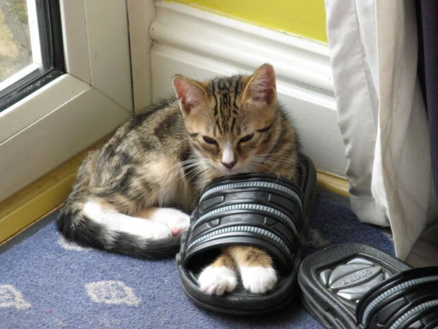 【一案两十年】楼梯护栏坍塌致死21人 原责任人再审失败,楼梯护栏案判决书